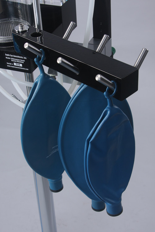 Millennium Bag Hanger