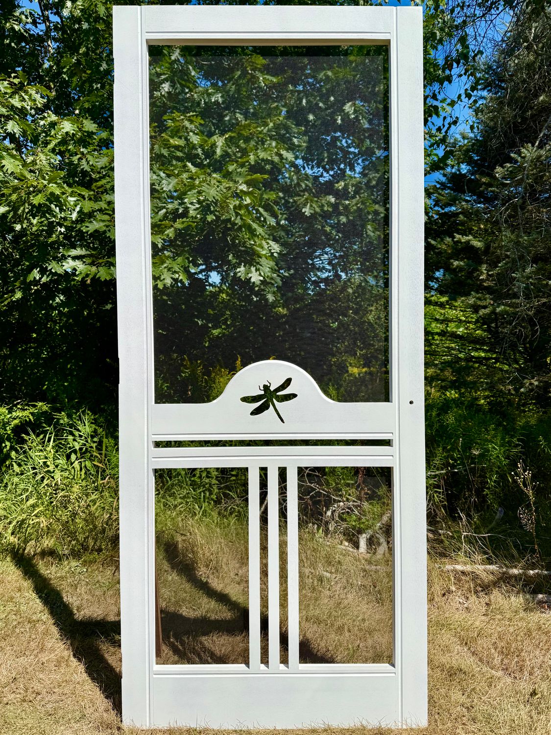 Dragonfly Dragonfly