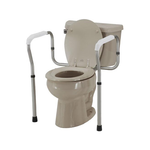 TOILET SEAT SAFETY RAILS