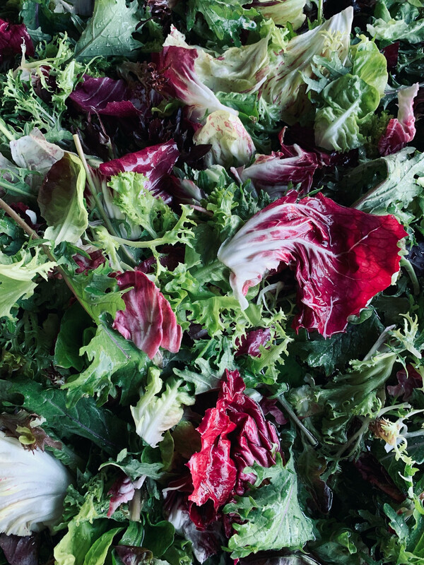 Winter Salad Mix
