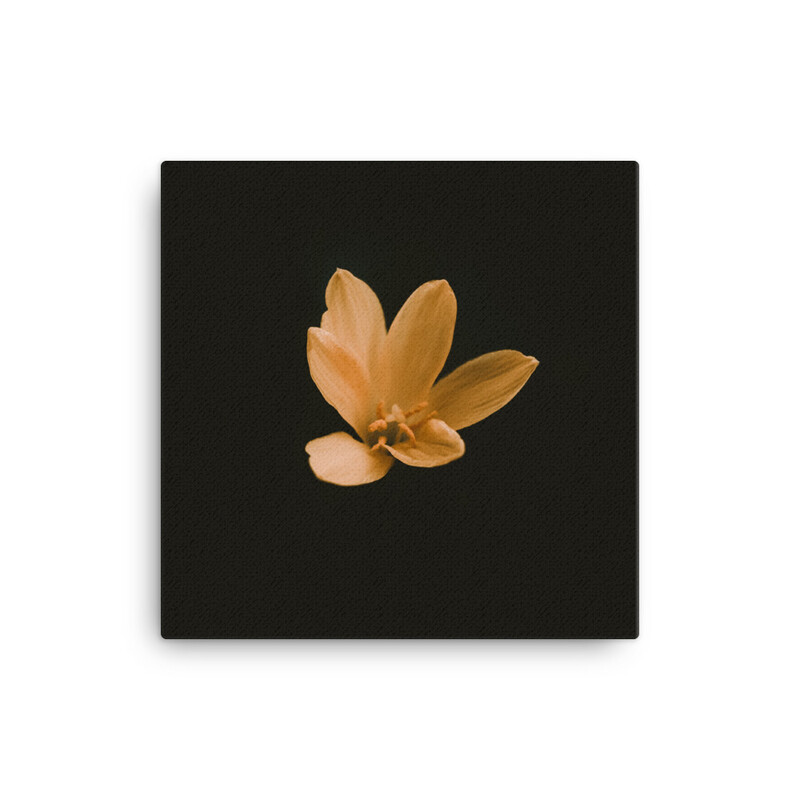 Canvas art- fleur d&#39;or
