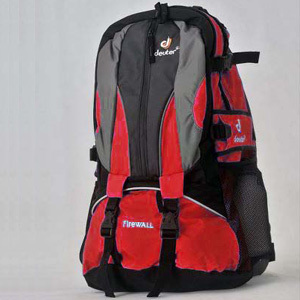deuter 55l