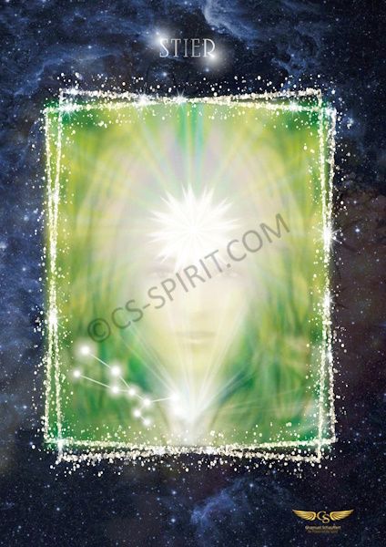 💫 STERNZEICHEN STIER LEINWANDBILD