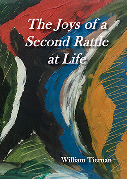 Front cover of The Joys of a Second Rattle at Life by William Tiernan featuring artwork by Anne Rigney
