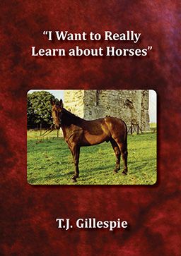 Front cover of I Want to Really Learn about Horses by T.J. Gillespie