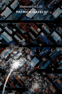 Moments in Life by Patrick Gately Front cover of Moments in Life by Patrick Gately