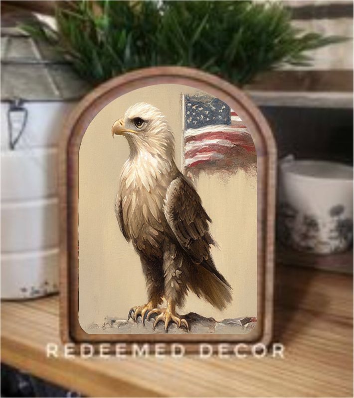 Arch Top Eagle Flag Framed Art