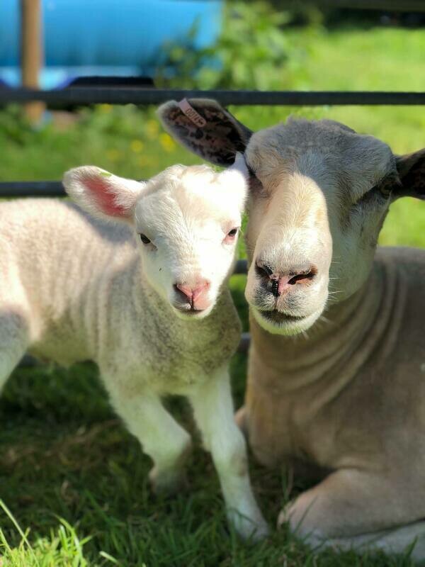 Group Booking Deposit £50