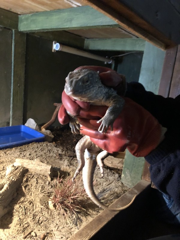 Keeper Experience 2hrs