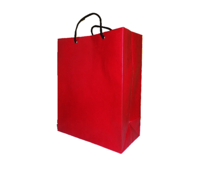 Mobile Shop Paper Bag | 10 x 8 x 4 | 1 pcs