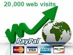 20.000 Website visitors