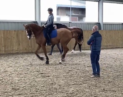Testt Rider Symmetry Assessment: 60 Minutes : September 25th : Hosted By Dan Greenwood Dressage ( For Non Livery Clients There Is An Added Arena Fee To The Host On The Day) Testt Rider Symmetry Assessment: 60 Minutes : September 25th : Hosted By Dan Greenwood Dressage ( For Non Livery Clients There Is An Added Arena Fee To The Host On The Day)