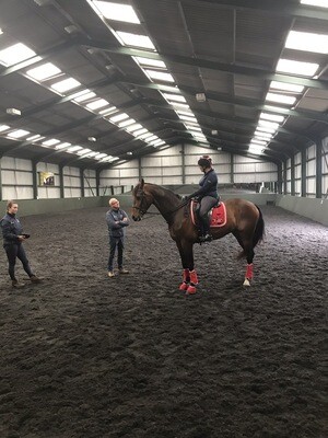 Testt First Mounted Rider Symmetry Assessment : 60 Minutes : Hosted By Patsy Bartram: The Broudein Stud, Swadlincote, DE128JX : October 6th 2020 (Price Includes Arena Fee) Testt First Mounted Rider Symmetry Assessment : 60 Minutes : Hosted By Patsy Bartram: The Broudein Stud, Swadlincote, DE128JX : October 6th 2020 (Price Includes Arena Fee)
