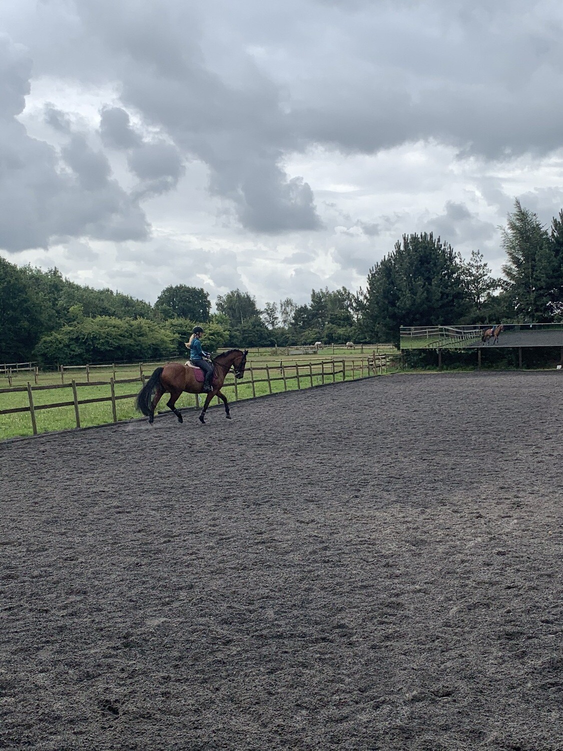 Mounted Follow Up Assessment : 30 Minutes : October 6th : Patsy Bartram (Client Must Have Had A Previous Assessment With Andy) Price Includes Arena Fee Mounted Follow Up Assessment : 30 Minutes : October 6th : Patsy Bartram (Client Must Have Had A Previous Assessment With Andy) Price Includes Arena Fee