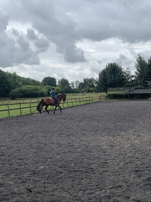 Mounted Follow Up Assessment : 30 Minutes : October 6th : Patsy Bartram (Client Must Have Had A Previous Assessment With Andy) Price Includes Arena Fee Mounted Follow Up Assessment : 30 Minutes : October 6th : Patsy Bartram (Client Must Have Had A Previous Assessment With Andy) Price Includes Arena Fee