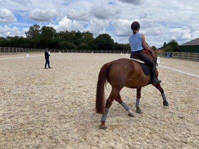 Testt First Mounted Rider Symmetry Assessment : 60 Minutes : Hosted By Tia Lewis At Oakring Stud And Performance Horses At Eakring October 27th 2020 (Price Includes Arena Fee) 00133 Testt First Mounted Rider Symmetry Assessment : 60 Minutes : Hosted By Tia Lewis At Oakring Stud And Performance Horses At Eakring October 27th 2020 (Price Includes Arena Fee) 00133