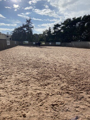 Testt: Mounted Review : 30 Minutes (Clients Must Have Had A Previous Assessment) : October 19th : Hyde Lodge, Leics (Arena Fee Of £5 Payable To Host On The Day) Testt: Mounted Review : 30 Minutes (Clients Must Have Had A Previous Assessment) : October 19th : Hyde Lodge, Leics (Arena Fee Of £5 Payable To Host On The Day)