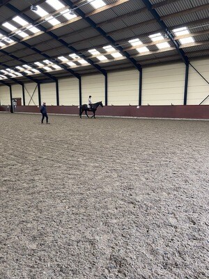 Testt: Mounted Review : 30 Minutes (Client Must Have Had A Previous Assessment With Andy) October 29th Hosted By Kerri Thompson, Newbury Stud - Must Be On Host’s List Before Use Testt: Mounted Review : 30 Minutes (Client Must Have Had A Previous Assessment With Andy) October 29th Hosted By Kerri Thompson, Newbury Stud - Must Be On Host’s List Before Use