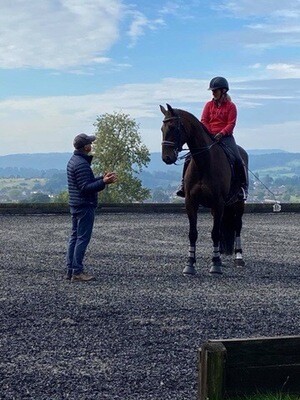 Testt : Mounted Rider Symmetry Assessment : 60 Minutes : November 21st : Hosted By Sophie Cox At Wassell Wood Farm, Worcs - Price Includes Arena Fee Testt : Mounted Rider Symmetry Assessment : 60 Minutes : November 21st : Hosted By Sophie Cox At Wassell Wood Farm, Worcs - Price Includes Arena Fee