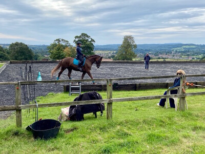 Testt : Mounted Follow Up Review : 30 Minutes (Must Have Had A Previous Assessment With Andy) : Nov 21st : Hosted By Sophie Cox : Wassell Wood Farm, Worcs - Price Includes Arena Fee Testt : Mounted Follow Up Review : 30 Minutes (Must Have Had A Previous Assessment With Andy) : Nov 21st : Hosted By Sophie Cox : Wassell Wood Farm, Worcs - Price Includes Arena Fee