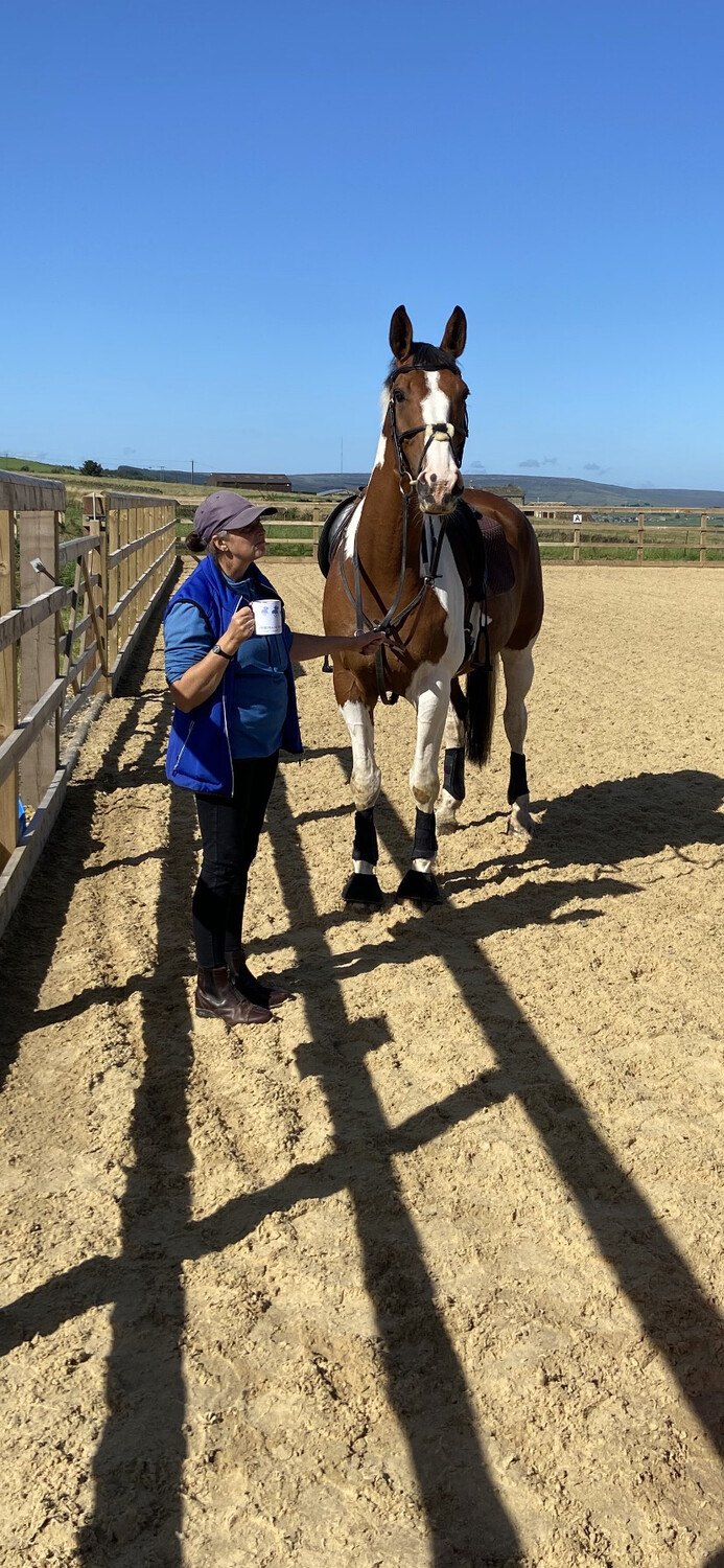 Testt: Mounted Follow Up : 30 Minutes, November 10th Hosted By Lisa Lane And Amy Hawley At Broadstone Equestrian (Client Must Have Had Previous Assessment With Andy) Testt: Mounted Follow Up : 30 Minutes, November 10th Hosted By Lisa Lane And Amy Hawley At Broadstone Equestrian (Client Must Have Had Previous Assessment With Andy)