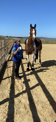 Testt: Mounted Follow Up : 30 Minutes, November 10th Hosted By Lisa Lane And Amy Hawley At Broadstone Equestrian (Client Must Have Had Previous Assessment With Andy) Testt: Mounted Follow Up : 30 Minutes, November 10th Hosted By Lisa Lane And Amy Hawley At Broadstone Equestrian (Client Must Have Had Previous Assessment With Andy)