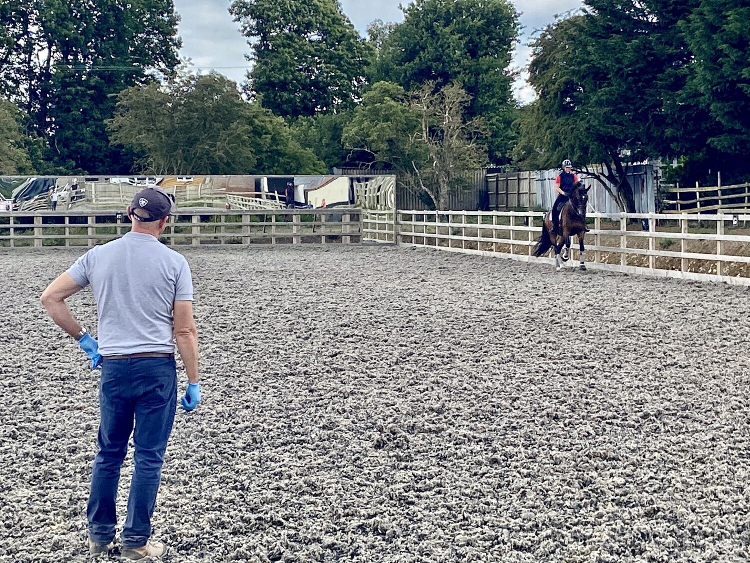 Testt: Mounted Symmetry Assessment: 60 Minutes : December 14th Hosted By Chelsea Donovan At Deepdene Stables ( £10 Arena Fee Payable On The Day To Host) Testt: Mounted Symmetry Assessment: 60 Minutes : December 14th Hosted By Chelsea Donovan At Deepdene Stables ( £10 Arena Fee Payable On The Day To Host)