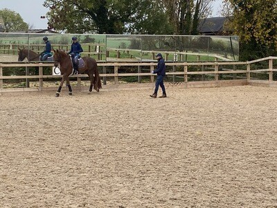Testt : Rider Symmetry Assessment: 60 Minutes : December 16th : Hosted By Michael Whippey At Idstone Farm Stables (Please Do Not Use Payment Link Unless On Mike’s List) Testt : Rider Symmetry Assessment: 60 Minutes : December 16th : Hosted By Michael Whippey At Idstone Farm Stables (Please Do Not Use Payment Link Unless On Mike’s List)