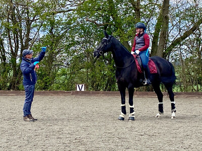Testt®️Mounted Follow Up Review 30 Minutes : September 25th Hosted By Jackie Wright At Tyddyn Farm (Client Must Have Had A Previous Assessment With Andy To Use This Link) Testt®️Mounted Follow Up Review 30 Minutes : September 25th Hosted By Jackie Wright At Tyddyn Farm (Client Must Have Had A Previous Assessment With Andy To Use This Link)