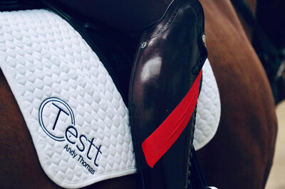 Testt®️Mounted Follow Up Review : 30 Minutes : March 26/27th : Hosted By Lesley Wheatley (£10 Arena Fee Payable To Host On The Day By Client) Client Must Have Had Previous Assessment