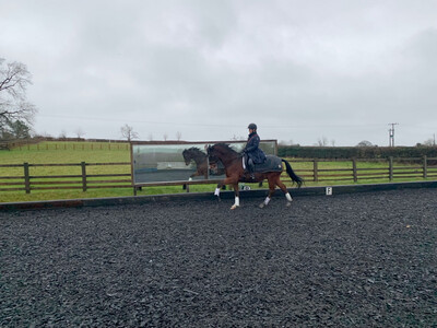 Testt®️Mounted Follow Up : 30 Minutes : March 6th : Hosted By Jane Critchley At Denstone Stud (Please Do Not Use Unless On Jane’s List) Clients Must Have Had Previous Assessment Testt®️Mounted Follow Up : 30 Minutes : March 6th : Hosted By Jane Critchley At Denstone Stud (Please Do Not Use Unless On Jane’s List) Clients Must Have Had Previous Assessment