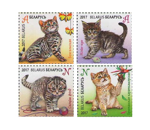 Белоруссия. Детская филателия. Котята. Серия из 4 марок