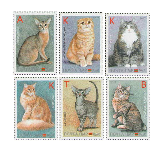 ПМР. Кошки. Серия из 6 марок