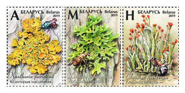 Белоруссия. Лишайники. Серия из 3 марок