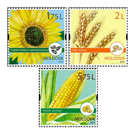 Молдавия. Полевые культуры: подсолнух, пшеница и кукуруза. Серия из 3 марок