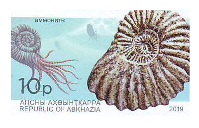 Абхазия. Археология Абхазии. Аммониты. Беззубцовая марка