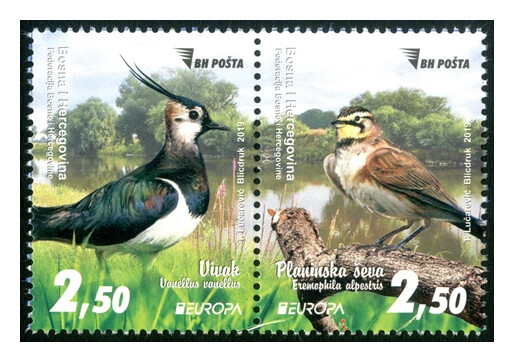 Босния и Герцеговина (Федерация). EUROPA. Национальные птицы. Чибис и Рогатый жаворонок. Сцепка из 2 марок