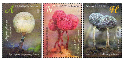 Белоруссия. Миксомицеты (слизистые грибы). Серия из 3 марок