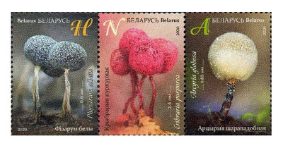 Белоруссия. Миксомицеты (слизистые грибы). Сцепка из 3 марок