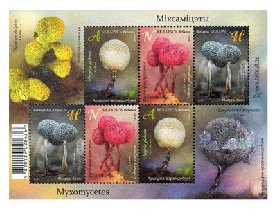 Белоруссия. Миксомицеты (слизистые грибы). Малый лист из 2 сцепок по 3 марки