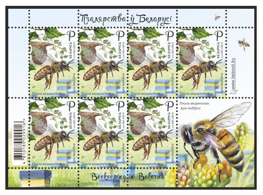 Белоруссия. Пчеловодство. Пчела медоносная. Лист из 7 марок и купона