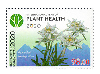 Киргизия. 2020 год- Международный год охраны растений под эгидой ООН. Марка