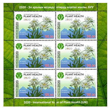 Киргизия. 2020 год- Международный год охраны растений под эгидой ООН. Лист из 6 марок