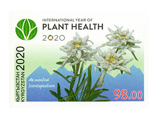 Киргизия. 2020 год- Международный год охраны растений под эгидой ООН. Беззубцовая марка