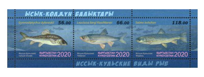 Киргизия. Фауна. Иссык-Кульские виды рыб: голый осман, чебачок и форель. Почтовый блок из 3 марок