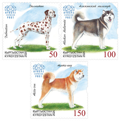 Киргизия (KEP). Домашние собаки: Далматин, Аляскинский маламут и Акита-ину. Серия из 3 марок