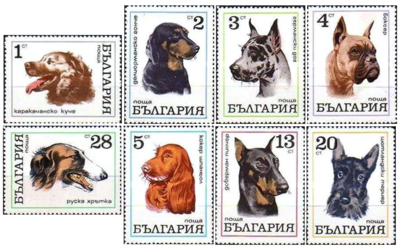 Болгария. Породы собак. Серия из 8 марок