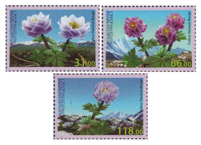Киргизия. Флора. Купальница лиловая. Серия из 3 марок