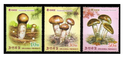 КНДР. 2017. Сосновый гриб (Tricholoma matsutake). Серия из 3 марок