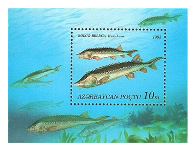 Азербайджан. 1993. Фауна. Рыбы. Серия из 6 марок